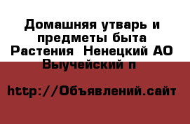 Домашняя утварь и предметы быта Растения. Ненецкий АО,Выучейский п.